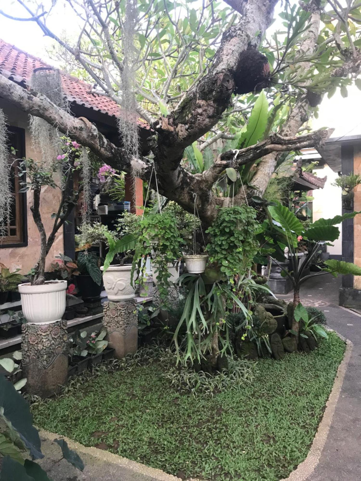 Gus Arditya Homestay Ubud  Bagian luar foto