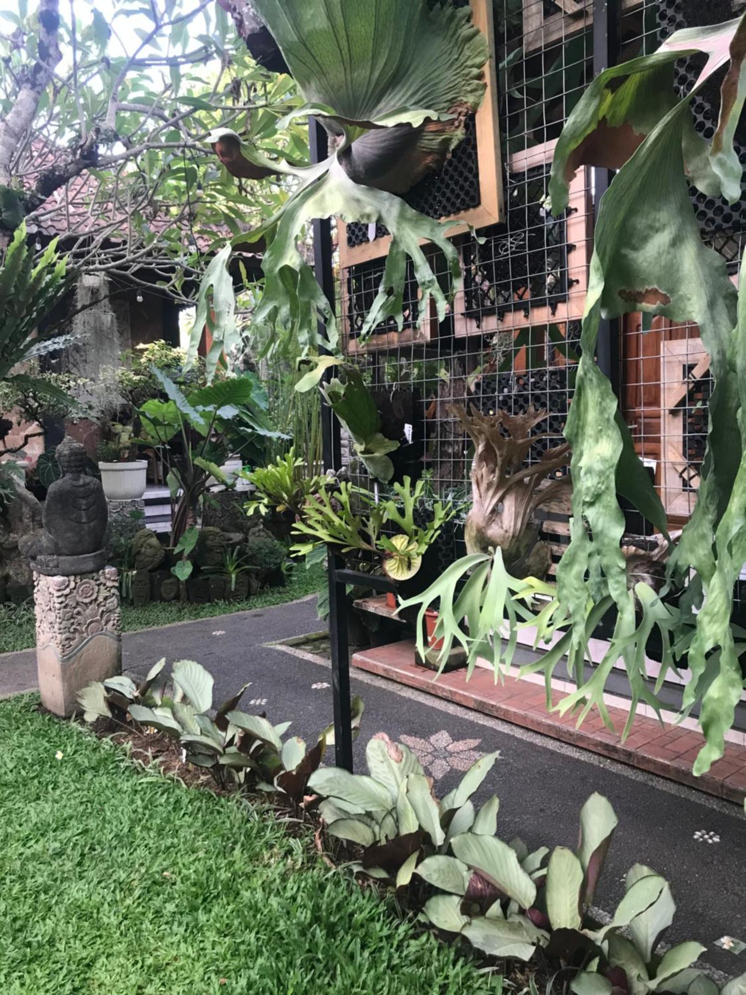 Gus Arditya Homestay Ubud  Bagian luar foto