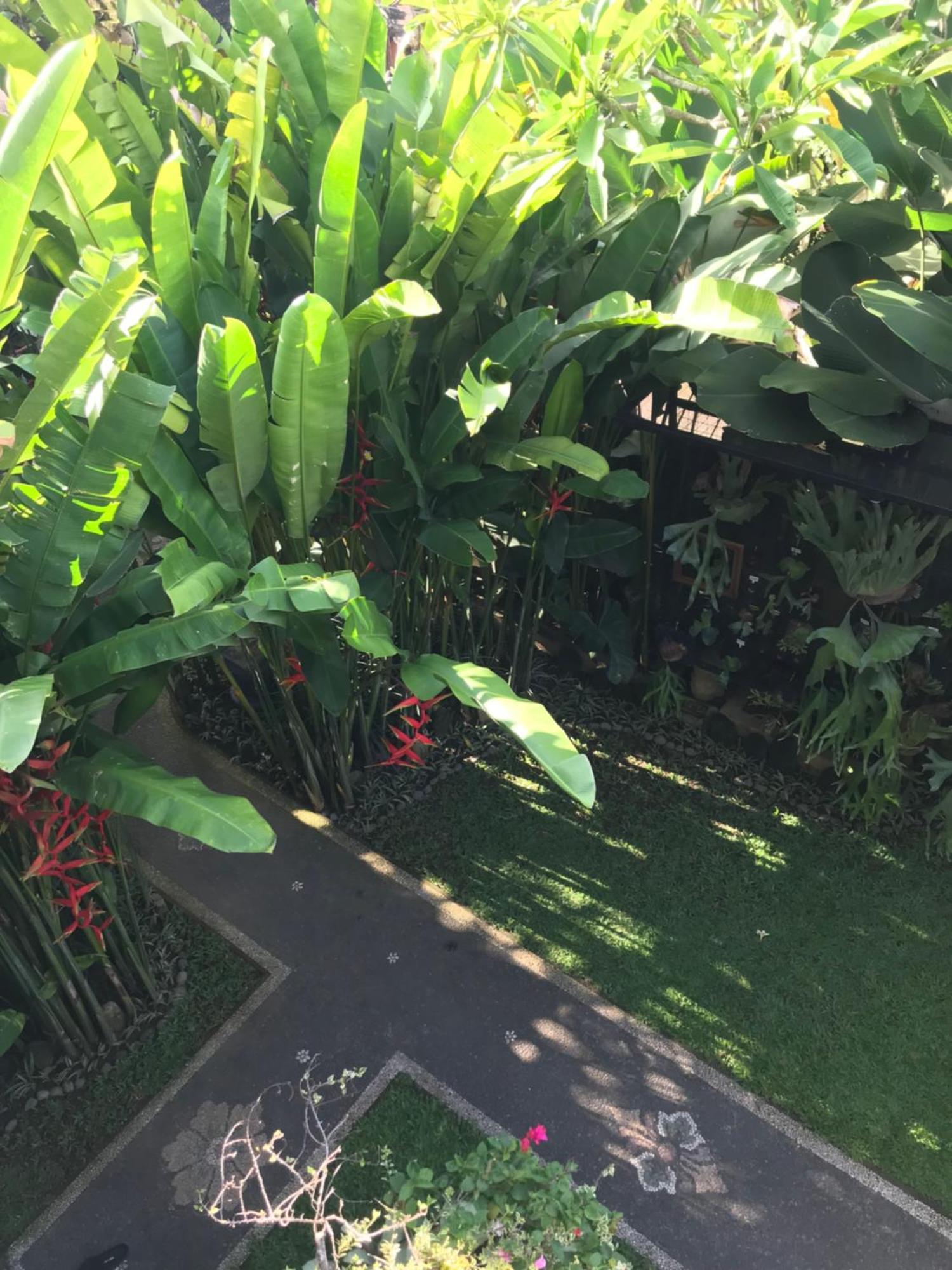 Gus Arditya Homestay Ubud  Bagian luar foto