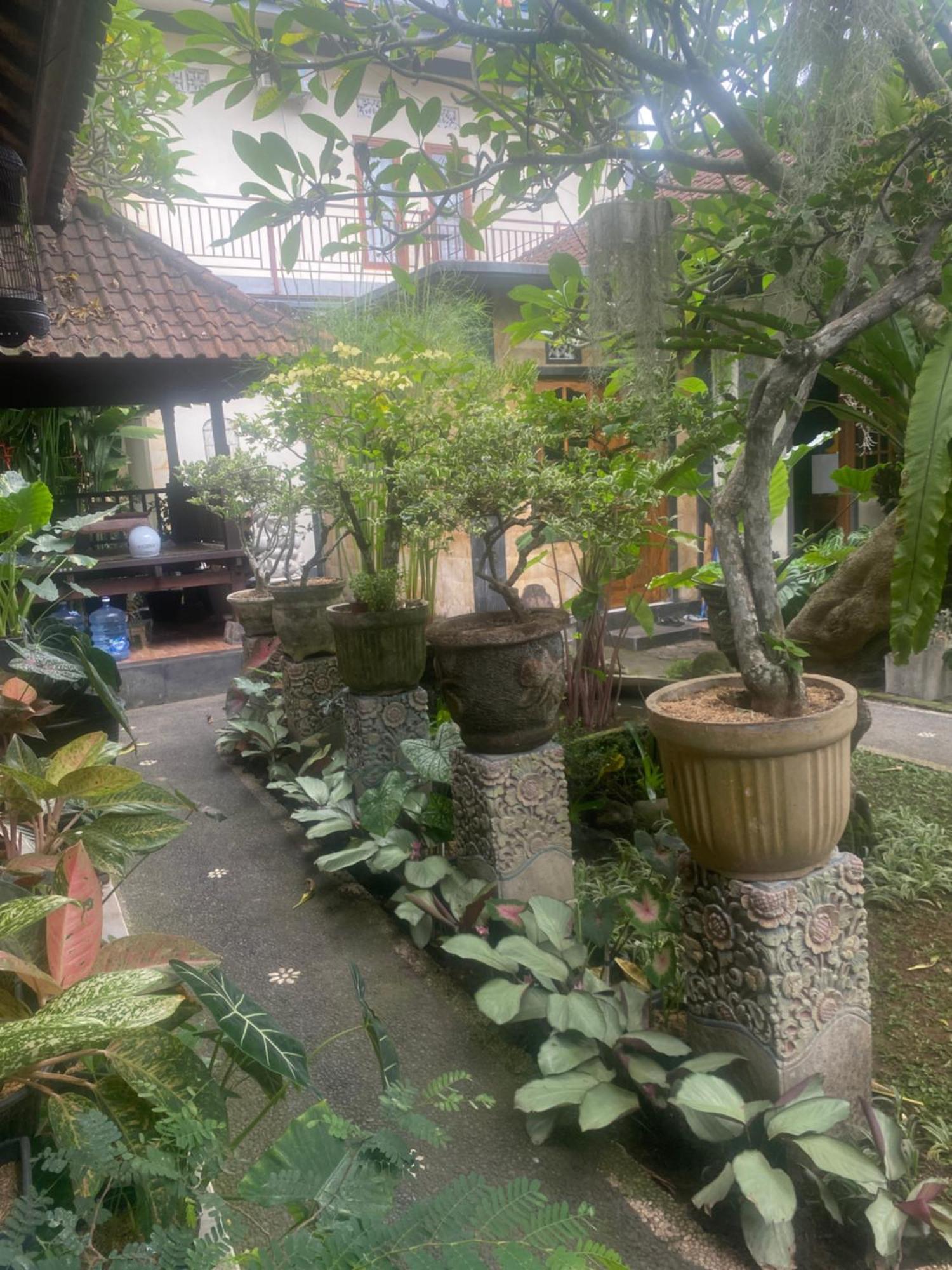 Gus Arditya Homestay Ubud  Bagian luar foto