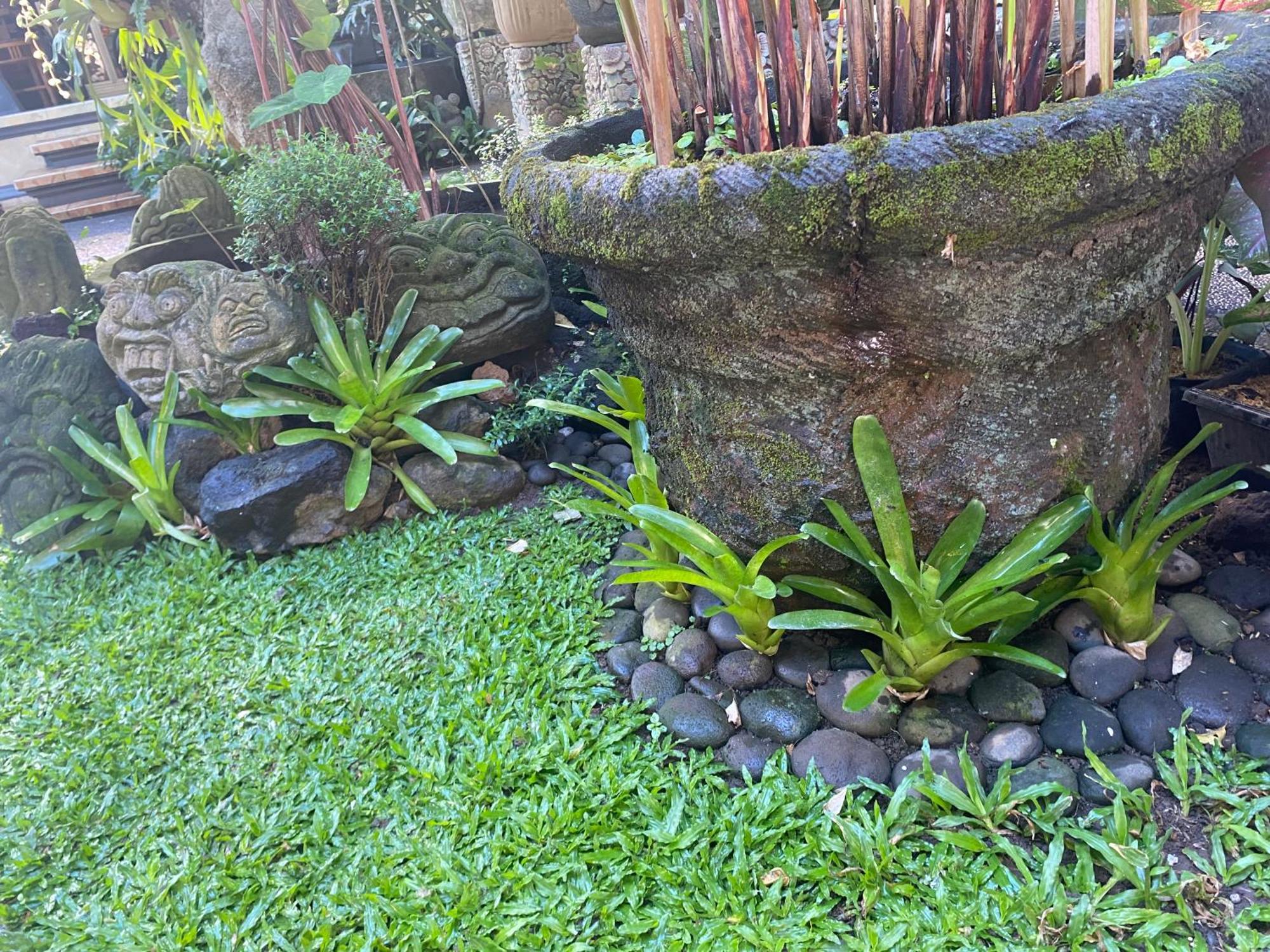 Gus Arditya Homestay Ubud  Bagian luar foto