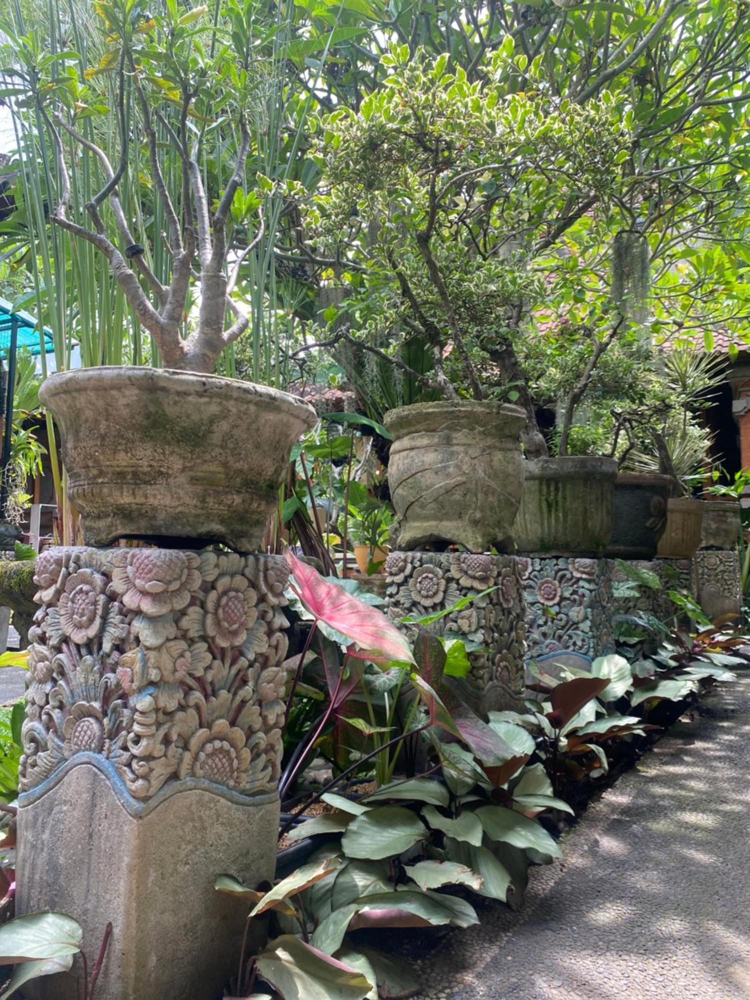 Gus Arditya Homestay Ubud  Bagian luar foto