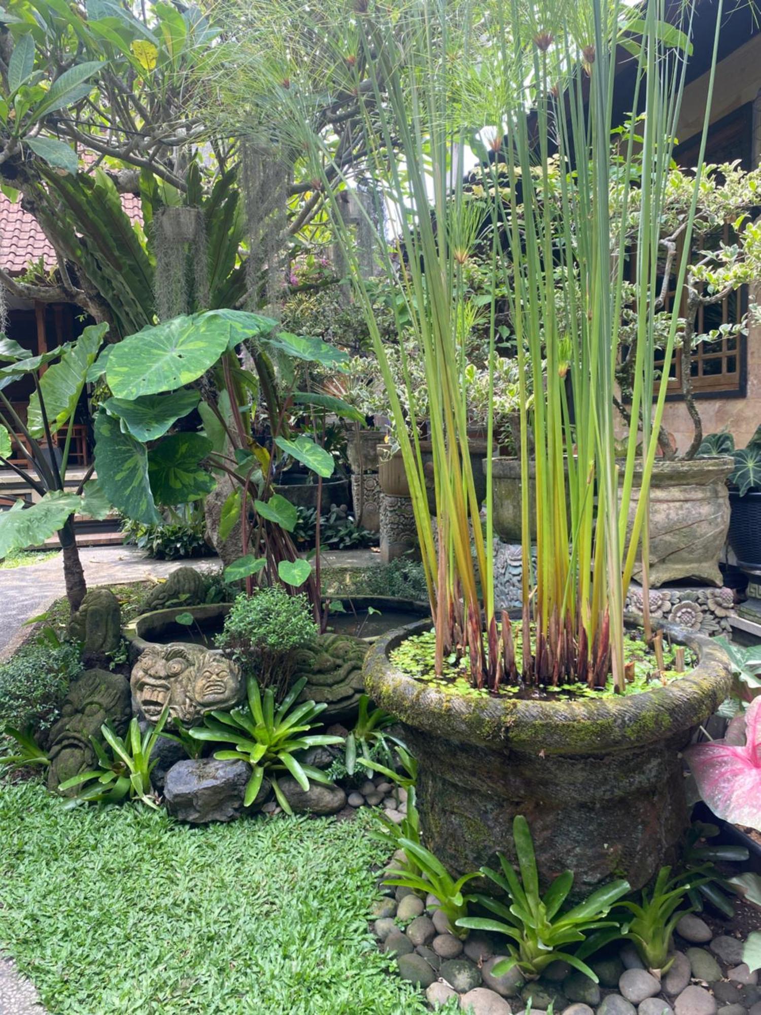 Gus Arditya Homestay Ubud  Bagian luar foto