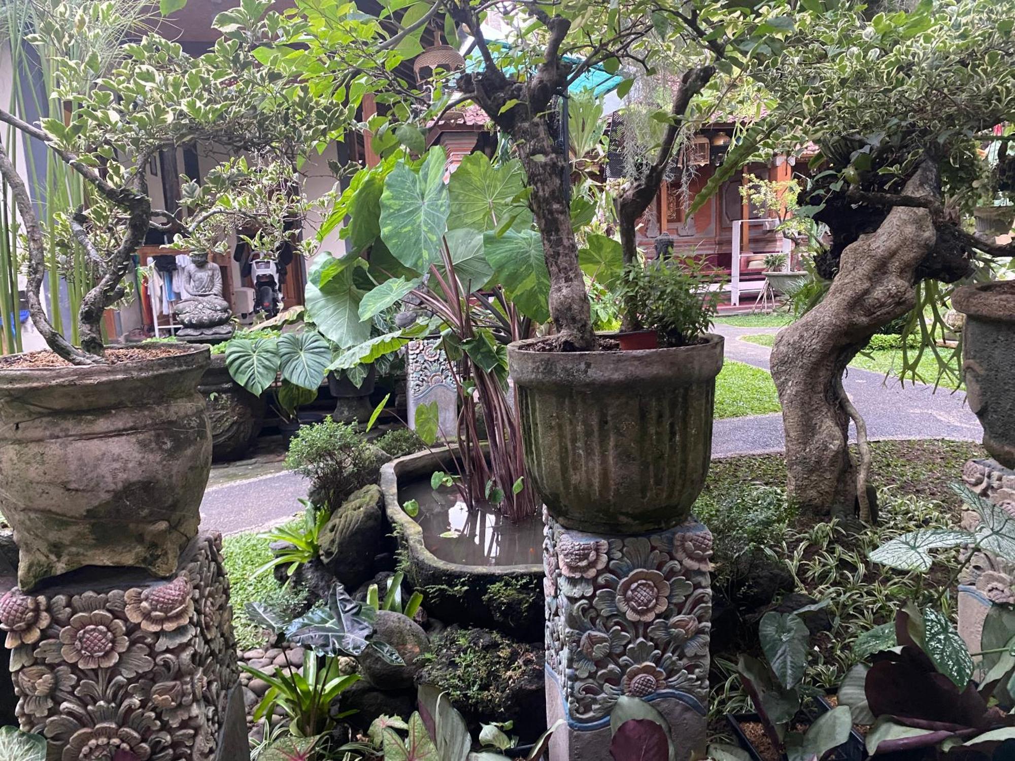 Gus Arditya Homestay Ubud  Bagian luar foto