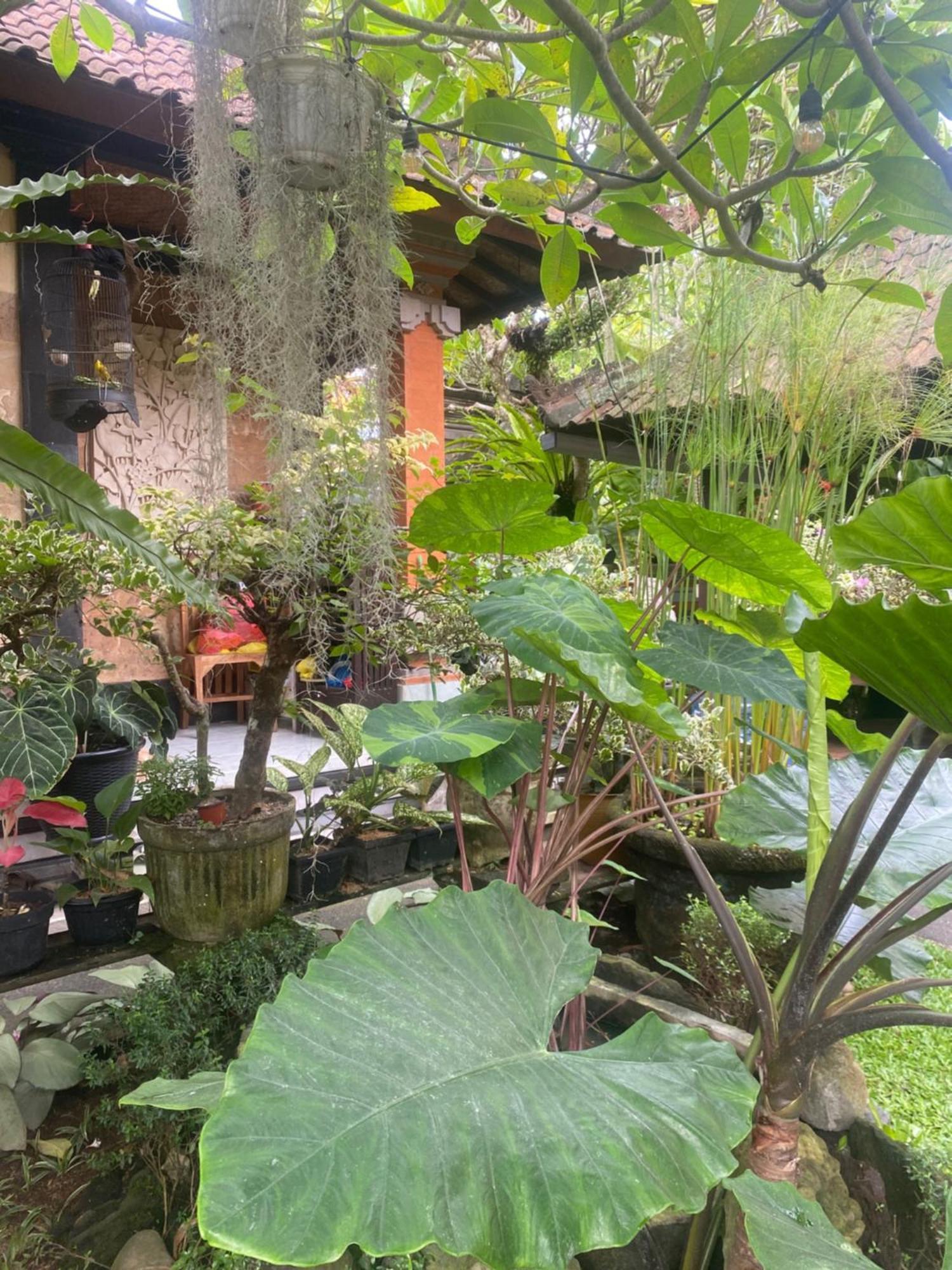 Gus Arditya Homestay Ubud  Bagian luar foto