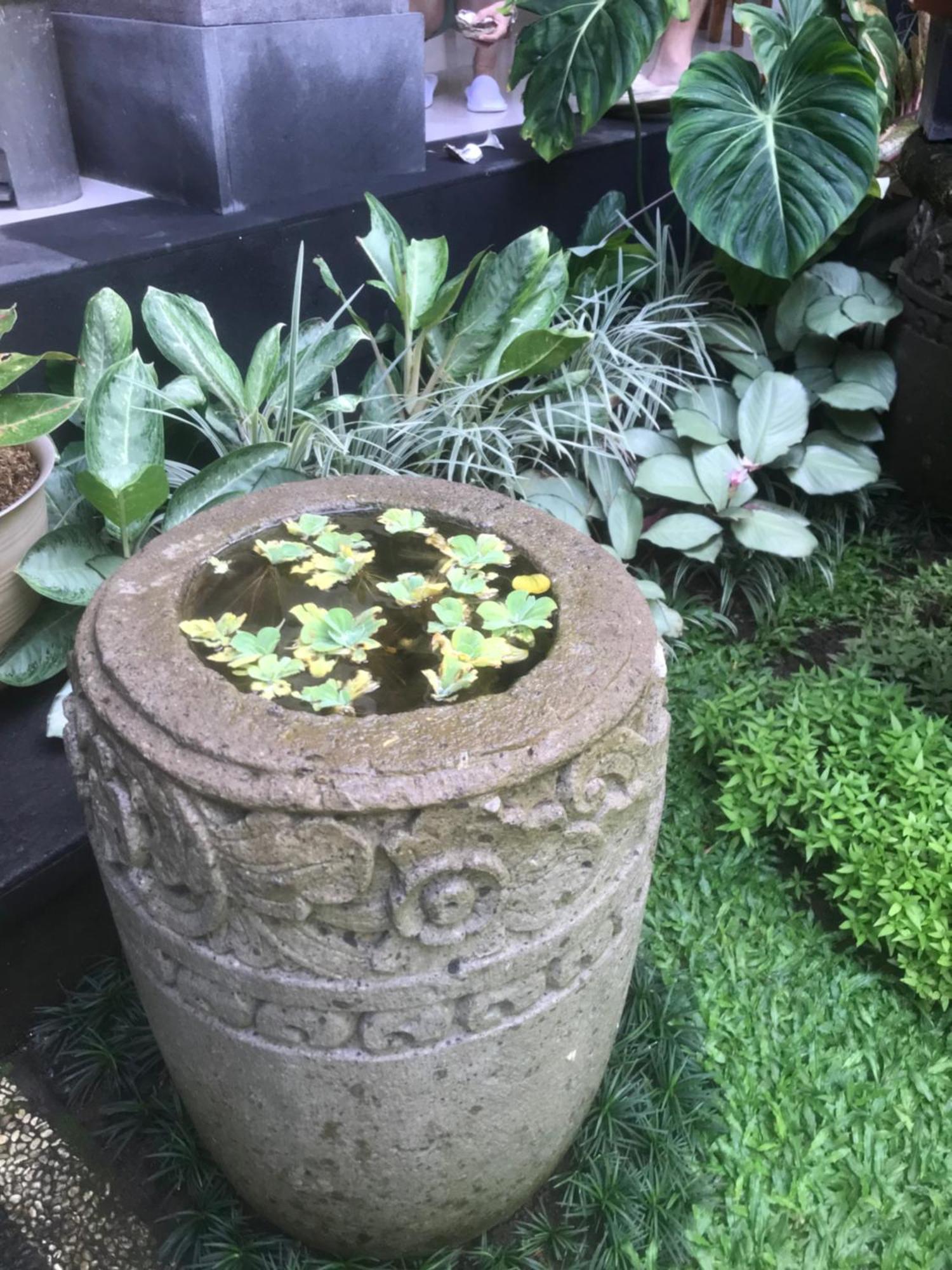 Gus Arditya Homestay Ubud  Bagian luar foto