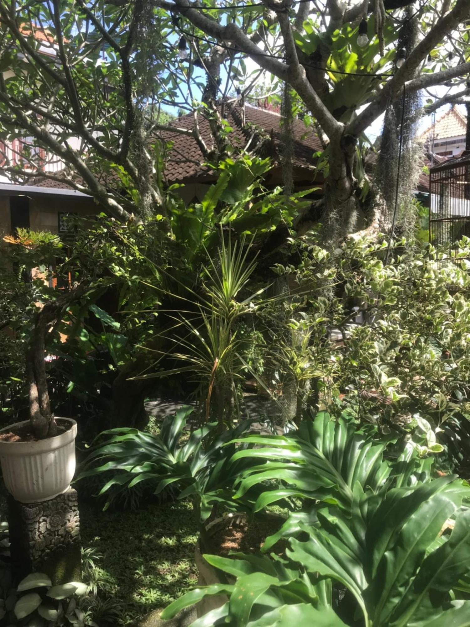 Gus Arditya Homestay Ubud  Bagian luar foto